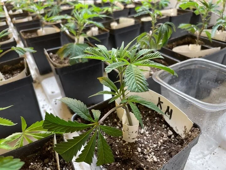 Progress Report: 2.13.26