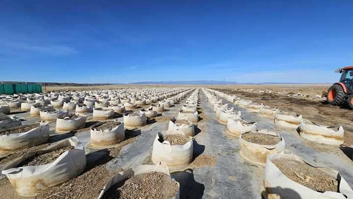 Grasshopper Farms 8.jpg