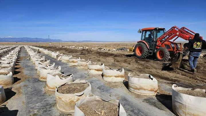 Grasshopper Farms 9.jpg