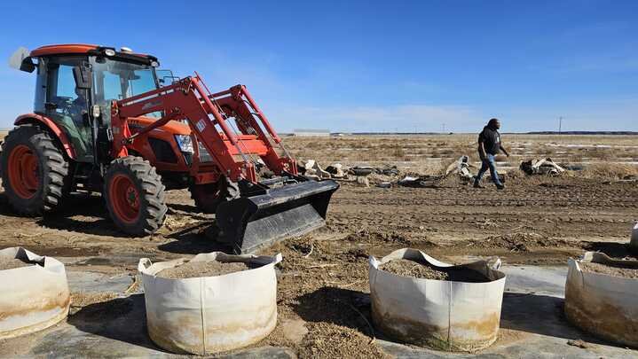 Grasshopper Farms 10.jpg