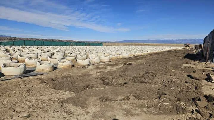 Grasshopper Farms 11.jpg