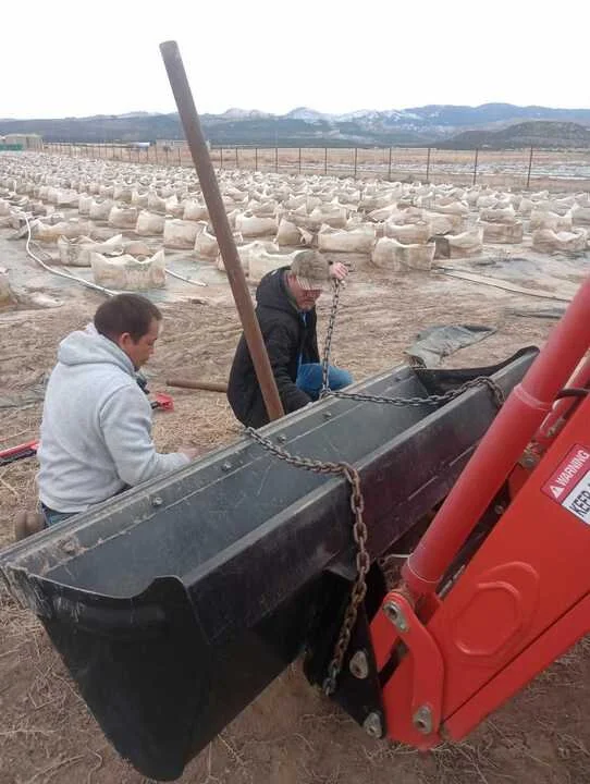 Grasshopper Farms 12.jpg