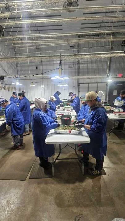 Grasshopper Farms 16.jpg