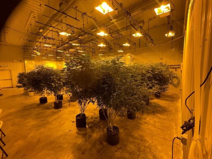 Grasshopper Farms 23.jpg