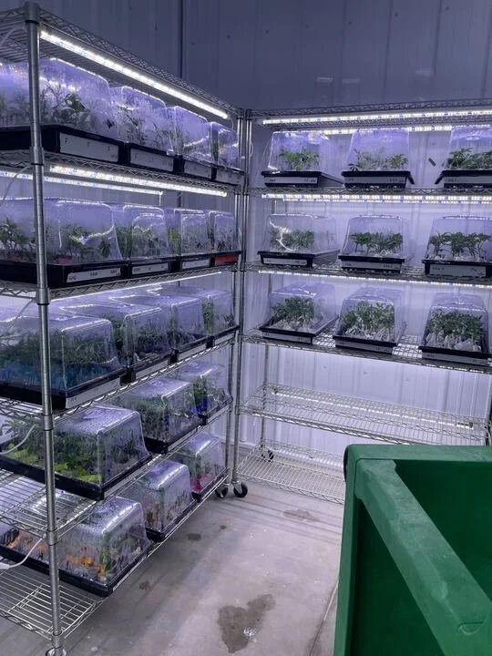 Grasshopper Farms 25.jpg