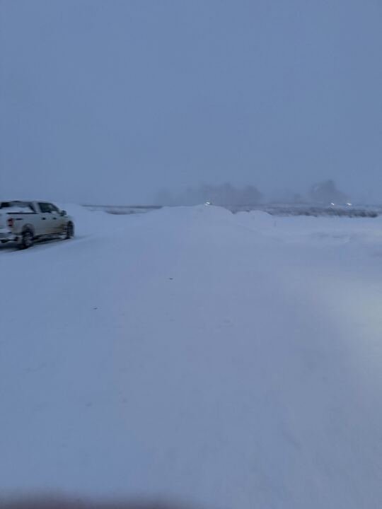 Grasshopper Farms 1.jpg