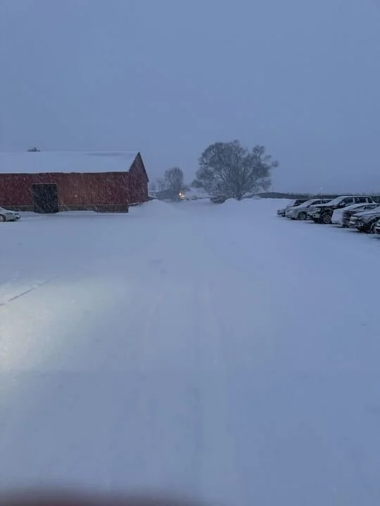 Grasshopper Farms 2.jpg