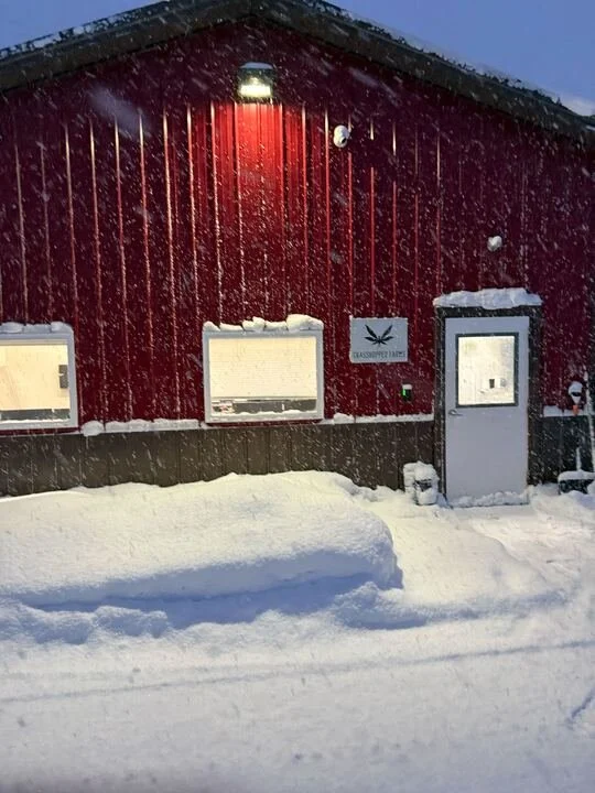 Grasshopper Farms 3.jpg