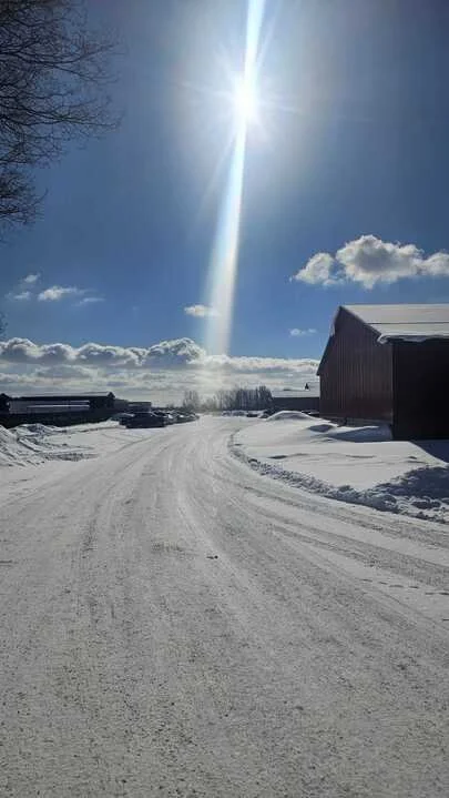 Grasshopper Farms 4.jpg