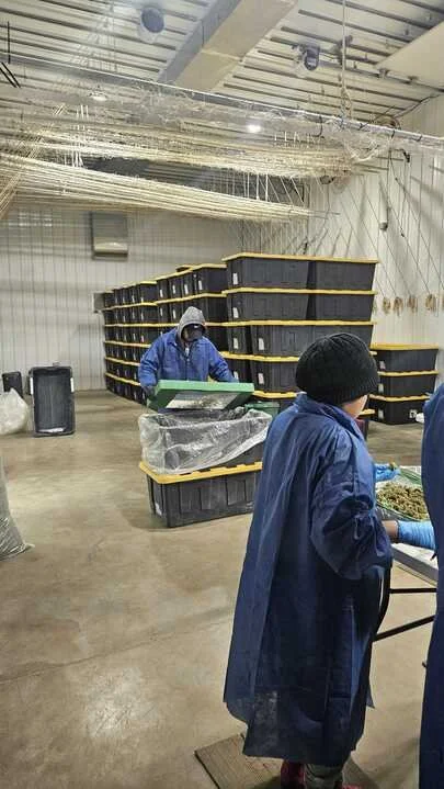 Grasshopper Farms 6.jpg