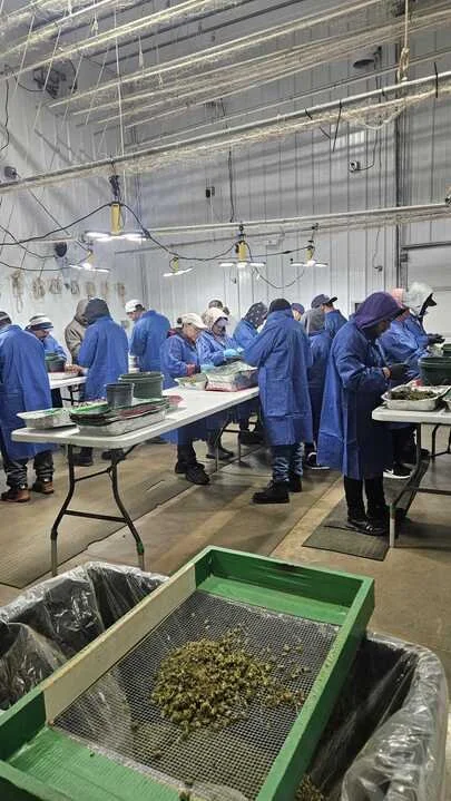 Grasshopper Farms 7.jpg