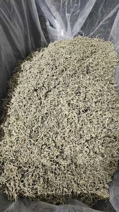 Grasshopper Farms 8.jpg