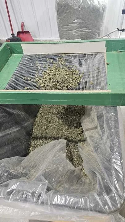 Grasshopper Farms 10.jpg