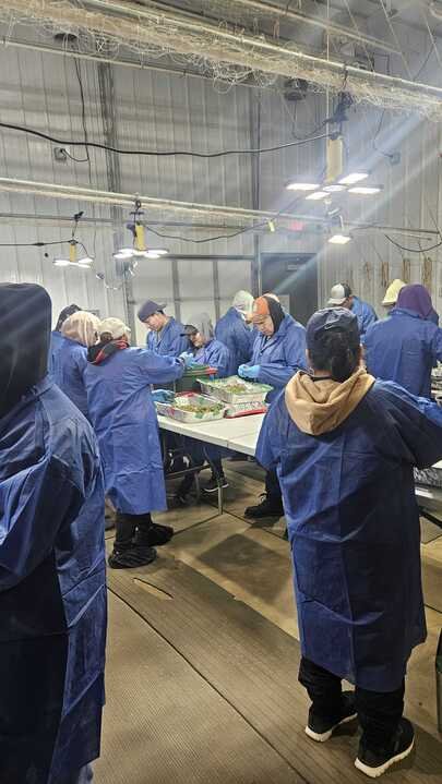 Grasshopper Farms 11.jpg