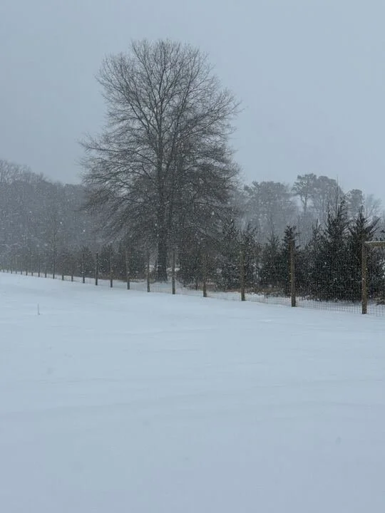 Grasshopper Farms 19.jpg