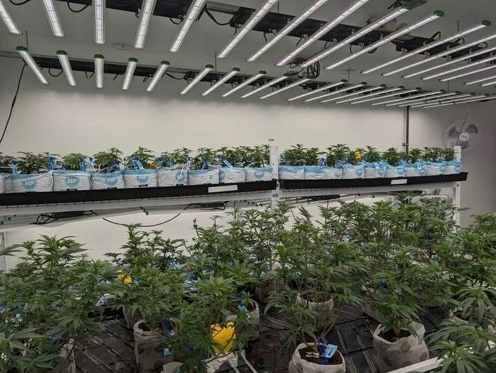 Grasshopper Farms 22.jpg