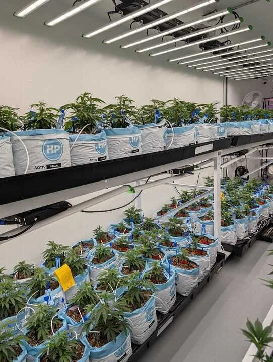 Grasshopper Farms 23.jpg