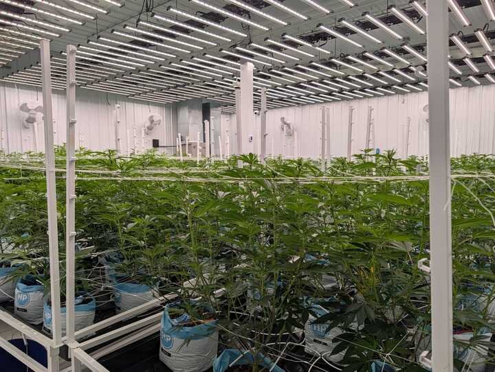 Grasshopper Farms 27.jpg