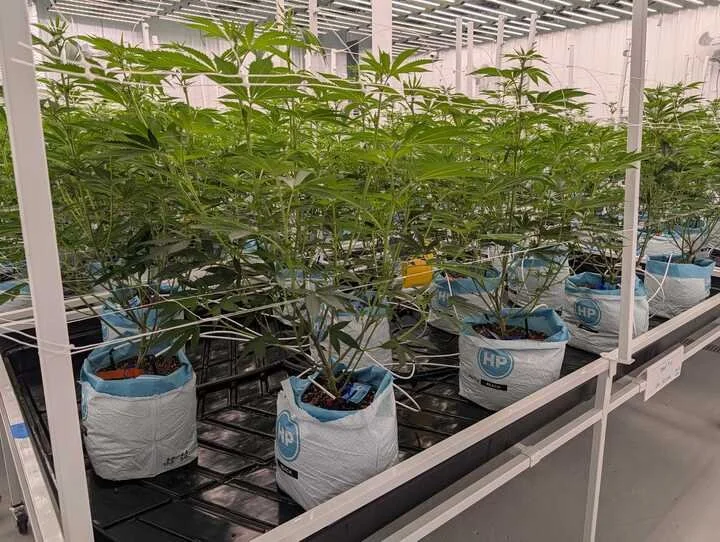 Grasshopper Farms 28.jpg