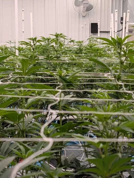 Grasshopper Farms 29.jpg