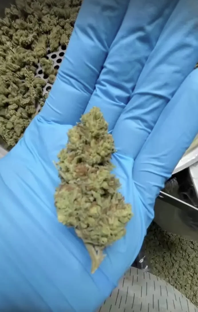 Grasshopper Farms 31.jpg