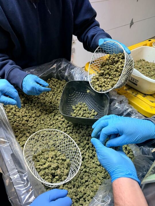 Grasshopper Farms 33.jpg