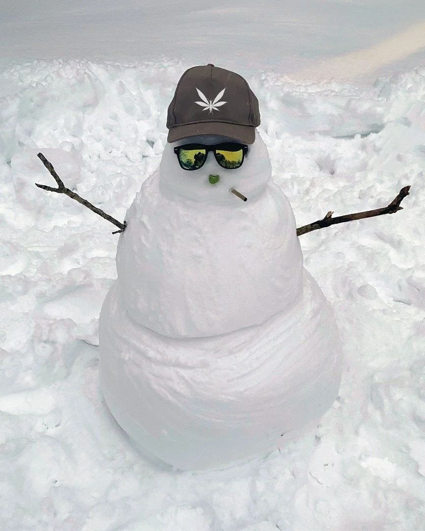 Progress Report: 1.30.26