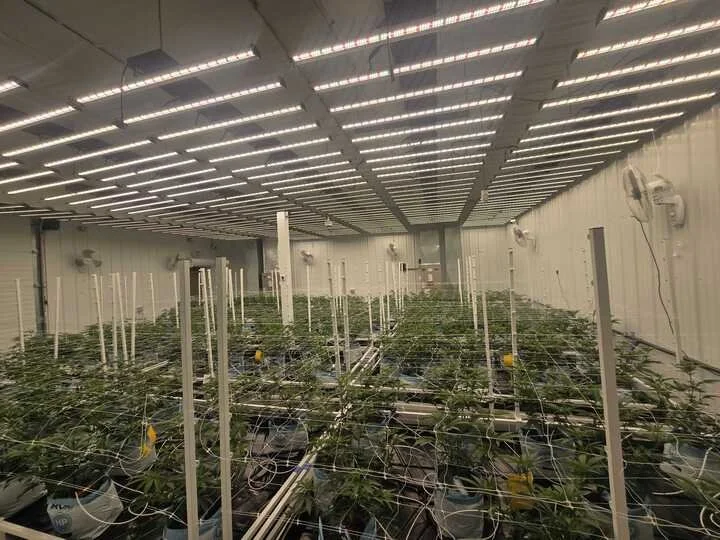 Grasshopper Farms 5.jpg