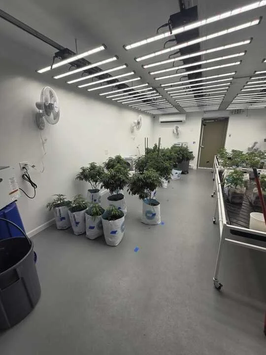 Grasshopper Farms 6.jpg