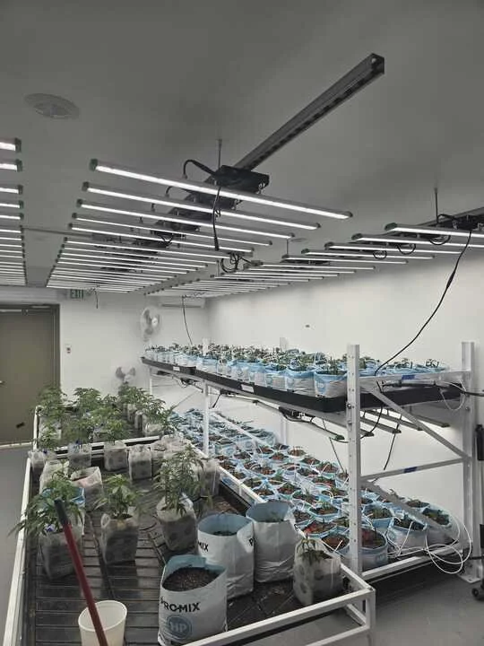 Grasshopper Farms 7.jpg