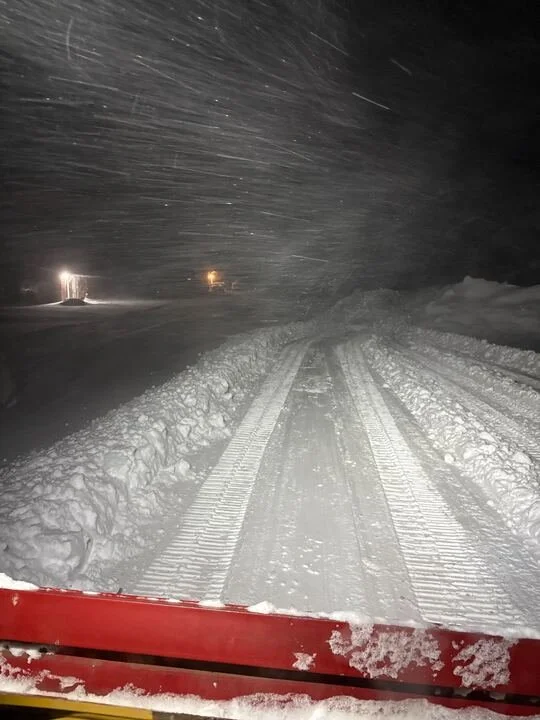 Grasshopper Farms 14.jpg