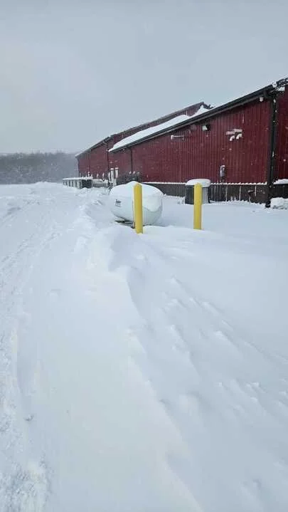 Grasshopper Farms 15.jpg