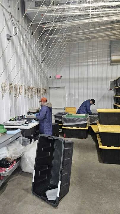 Grasshopper Farms 21.jpg