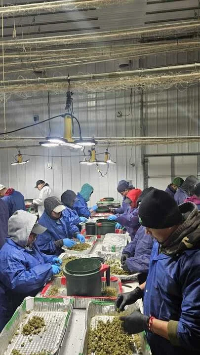 Grasshopper Farms 22.jpg