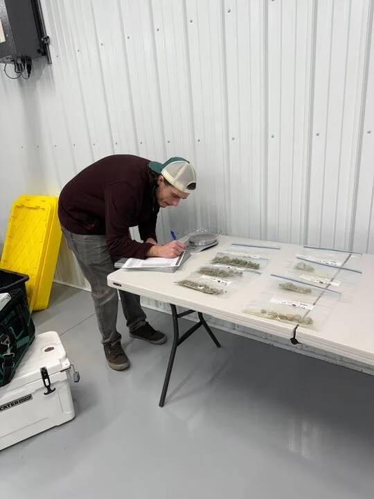 Grasshopper Farms 5.jpg