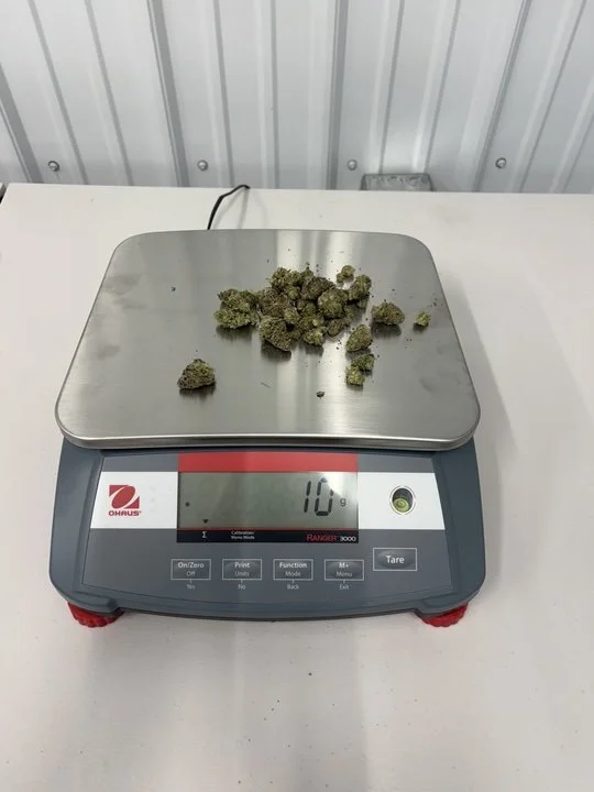 Grasshopper Farms 7.jpg