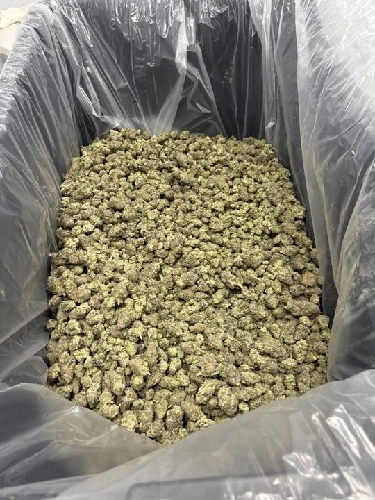 Grasshopper Farms 8.jpg