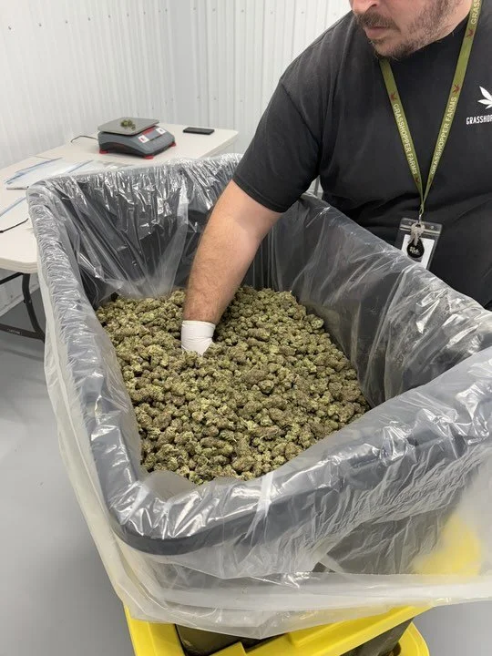 Grasshopper Farms 9.jpg