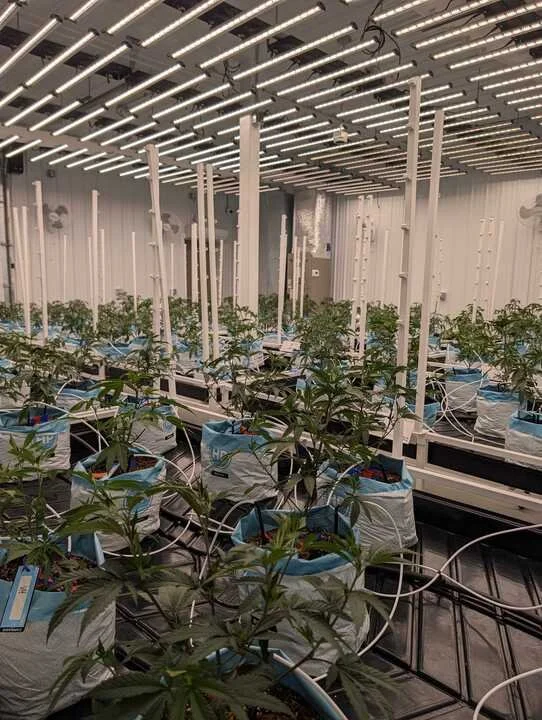 Grasshopper Farms 12.jpg