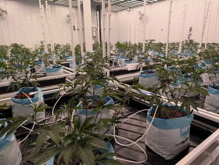 Grasshopper Farms 13a.jpg