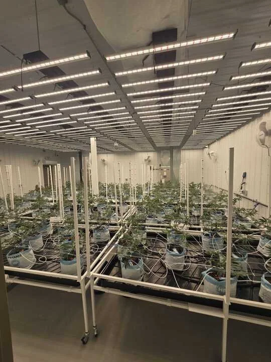 Grasshopper Farms 13b.jpg