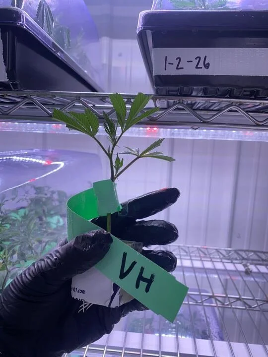 Grasshopper Farms 26.jpg