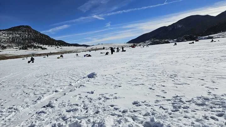 Grasshopper Farms 35.jpg