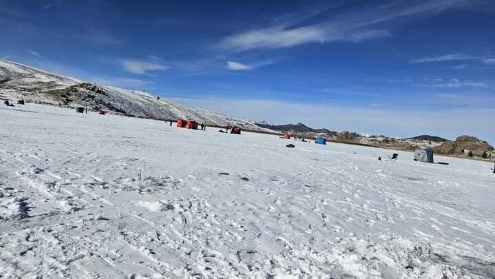 Grasshopper Farms 38.jpg