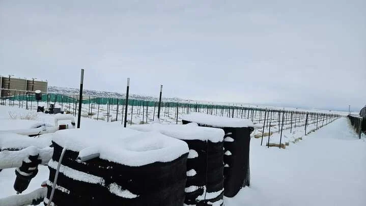 Grasshopper Farms 1.jpg