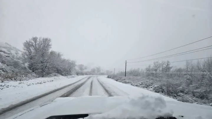 Grasshopper Farms 2.jpg