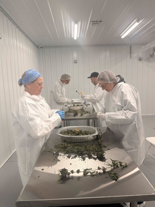 Grasshopper Farms 9.jpg