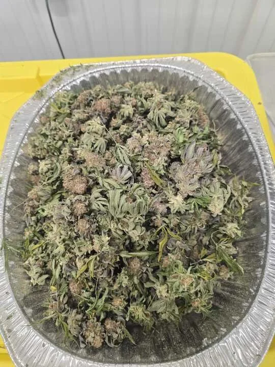 Grasshopper Farms 10.jpg