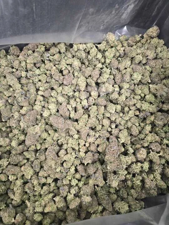 Grasshopper Farms 11.jpg