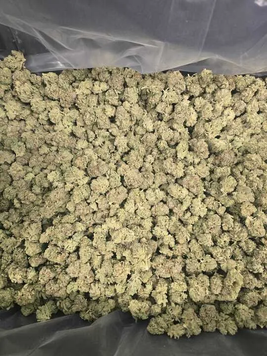 Grasshopper Farms 12.jpg